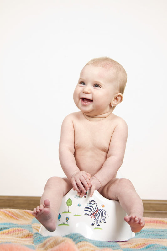 Potty Training: 8 Best-Ever Top Tips for Real Moms & Parents